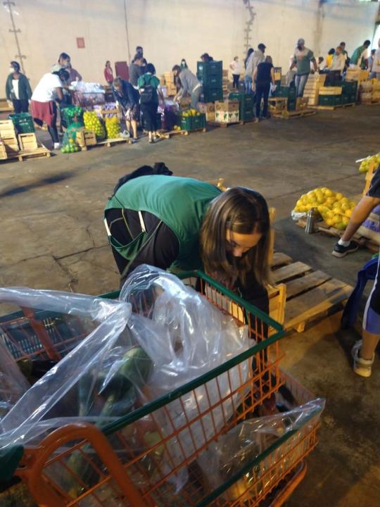 Foto 9 de 15 — Voluntários começam a separação de alimentos; entenda como será a distribuição
